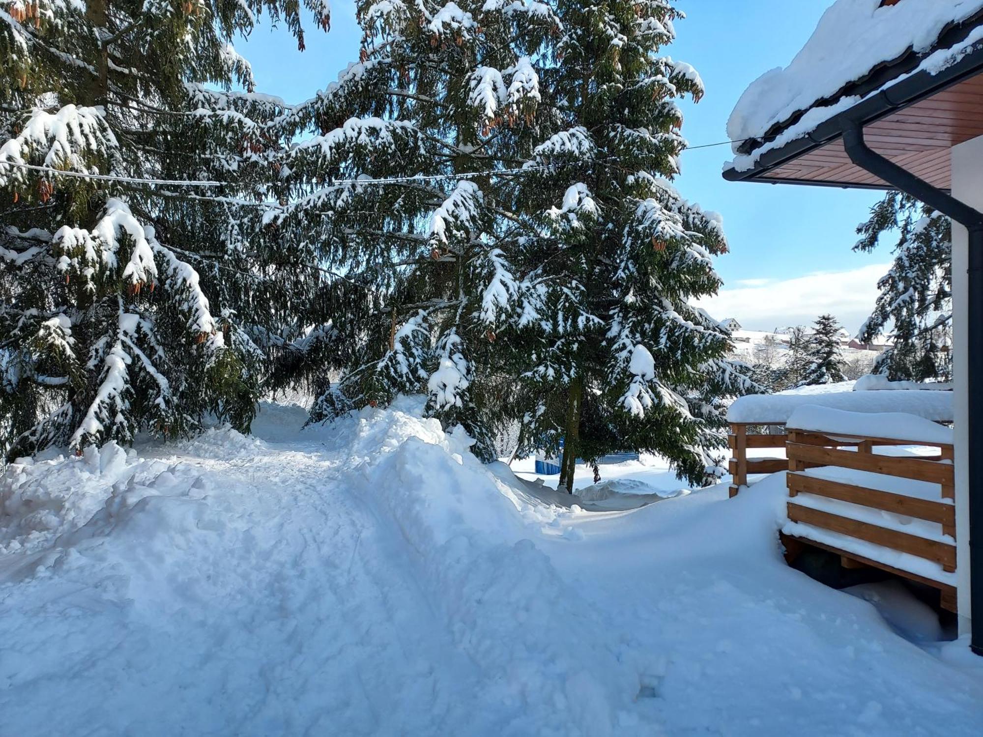 Noclegi Nad Czarna Orawa Podwilk المظهر الخارجي الصورة